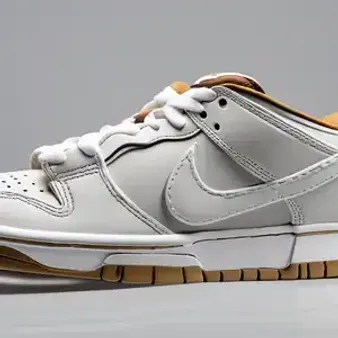 The Design and Features of the First Nike SB